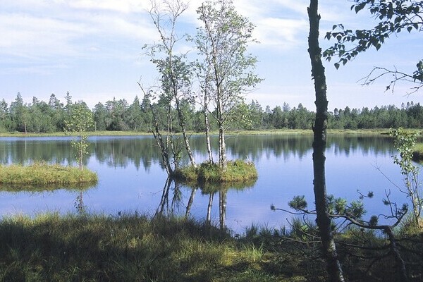 Wildsee Bildnachweis: Touristik Bad Wildbad Wildsee Bildnachweis: Touristik Bad Wildbad