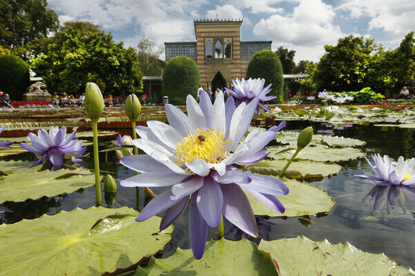 Bildnachweis: © Wilhelma Stuttgart Bildnachweis: © Wilhelma Stuttgart