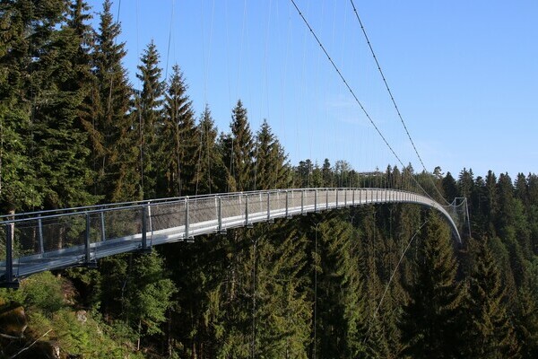 Wildline Bildnachweis: © Touristik Bad Wildbad GmbH, Foto: Markus Maisenbacher Wildline Bildnachweis: © Touristik Bad Wildbad GmbH, Foto: Markus Maisenbacher
