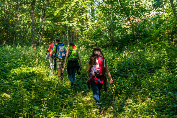 Wolfssteig Bildnachweis: © Tourist-Information Höchenschwand, Fotograf Klaus Hansen Wolfssteig Bildnachweis: © Tourist-Information Höchenschwand, Fotograf Klaus Hansen