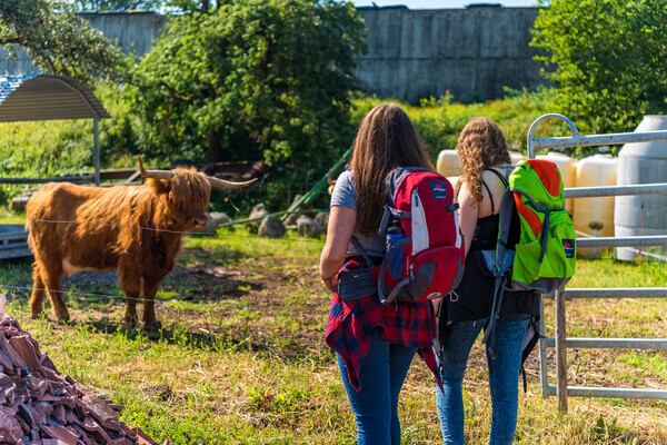 Wolfssteig Bildnachweis: © Tourist-Information Höchenschwand, Fotograf Klaus Hansen Wolfssteig Bildnachweis: © Tourist-Information Höchenschwand, Fotograf Klaus Hansen