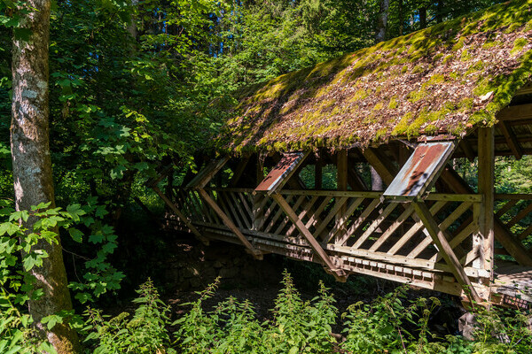 Wolfssteig Bildnachweis: © Tourist-Information Höchenschwand, Fotograf Klaus Hansen Wolfssteig Bildnachweis: © Tourist-Information Höchenschwand, Fotograf Klaus Hansen
