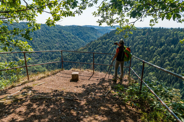 Wolfssteig Bildnachweis: © Tourist-Information Höchenschwand, Fotograf Klaus Hansen Wolfssteig Bildnachweis: © Tourist-Information Höchenschwand, Fotograf Klaus Hansen