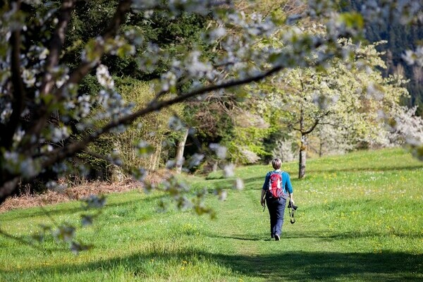 Schwarzwaldsteig Bad Peterstal-Griesbach Bildnachweis: © KTG Bad Peterstal-Griesbach/Beate Wand Schwarzwaldsteig Bad Peterstal-Griesbach Bildnachweis: © KTG Bad Peterstal-Griesbach/Beate Wand