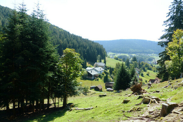 Wildgehege Eulengrund Bildnachweis: Mit freundlicher Genehmigung von Baiersbronn Touristik Wildgehege Eulengrund Bildnachweis: Mit freundlicher Genehmigung von Baiersbronn Touristik