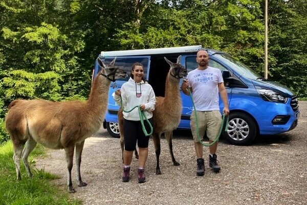 Bildnachweis: Mit freundlicher Genehmigung der Schauinsland Lamas Bildnachweis: Mit freundlicher Genehmigung der Schauinsland Lamas